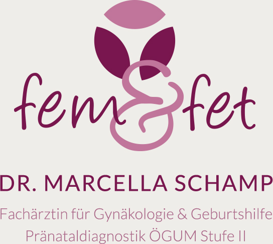 Logo: Fem & Fet 